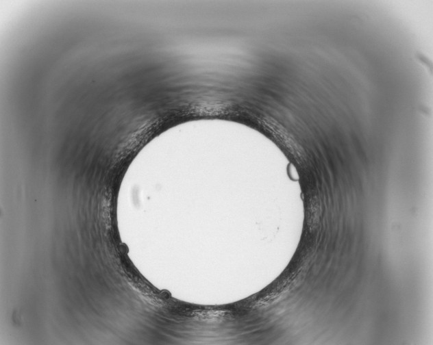 X0000093360497200711081518