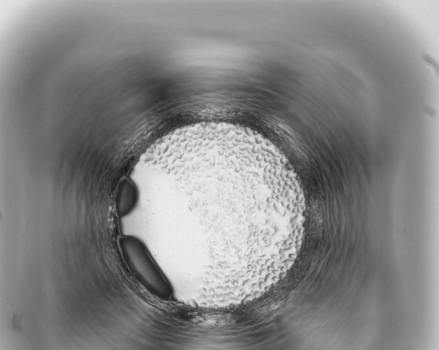 X0000093360499200711081518
