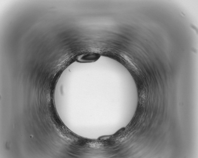 X0000093360500200711081518
