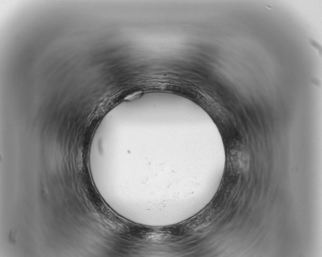 X0000093360504200711081517