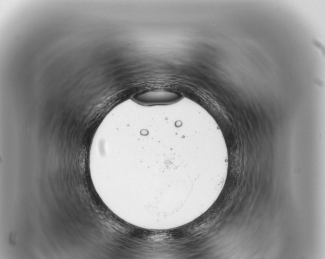 X0000093360505200711081517