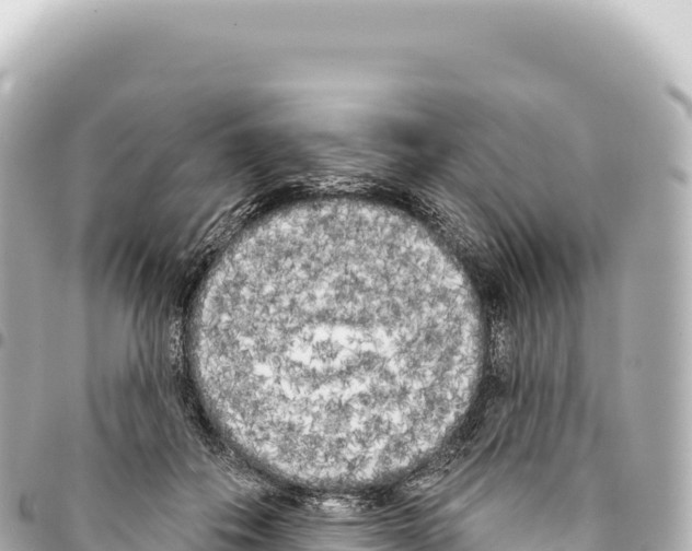 X0000093360506200711081517