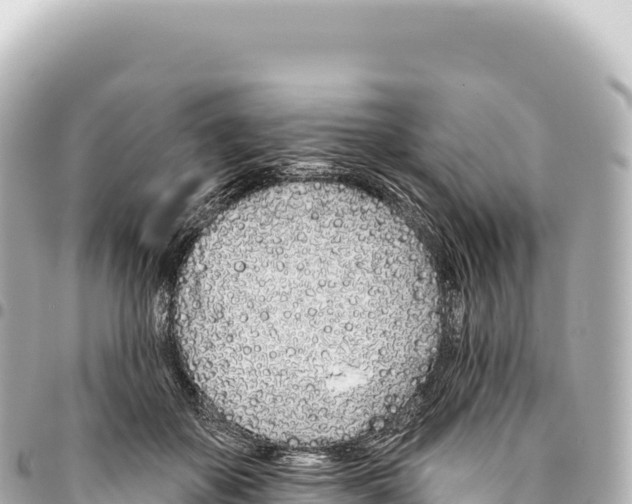 X0000093360507200711081517