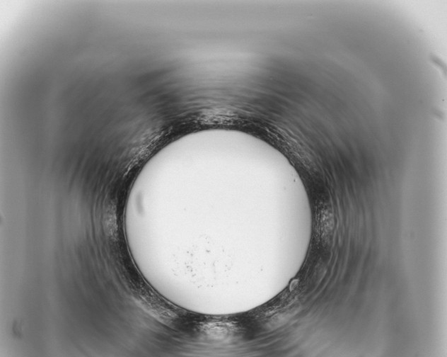 X0000093360508200711081517