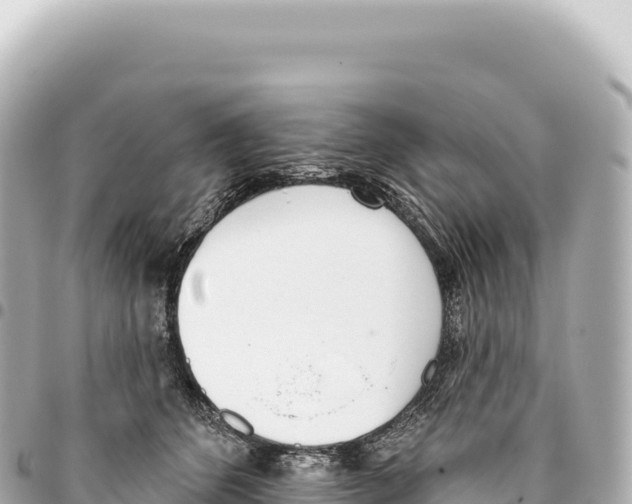 X0000093360512200711081517