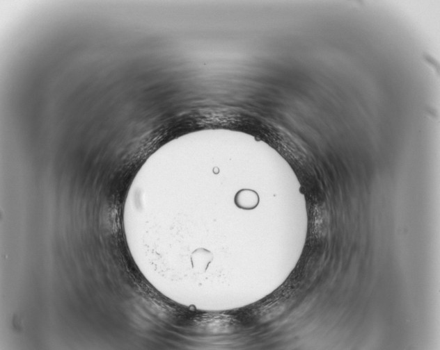 X0000093360514200711081517