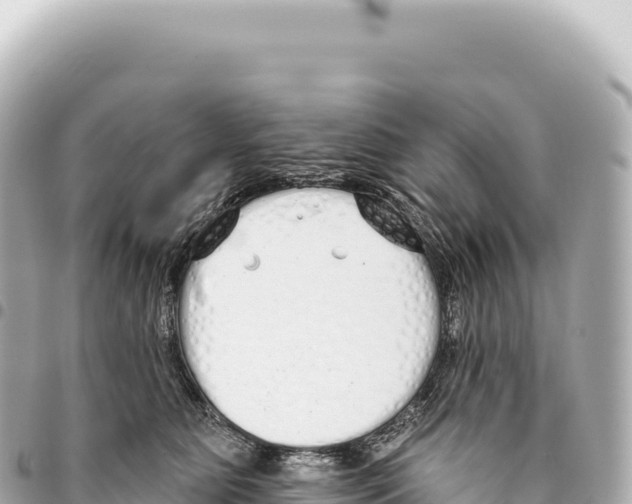 X0000093360515200711081517