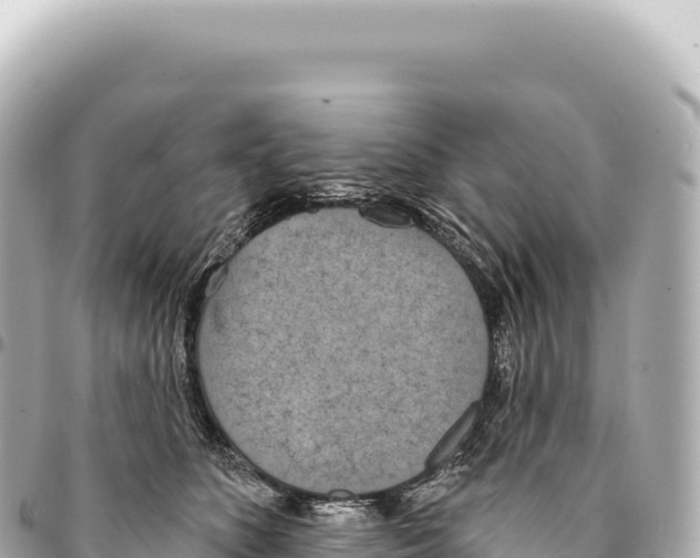 X0000093360516200711081517