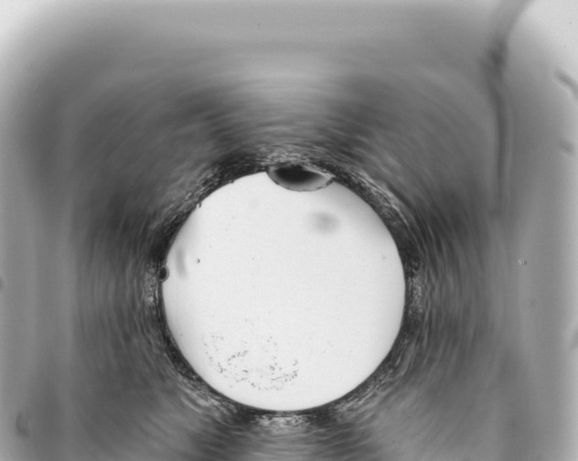 X0000093360517200711081517