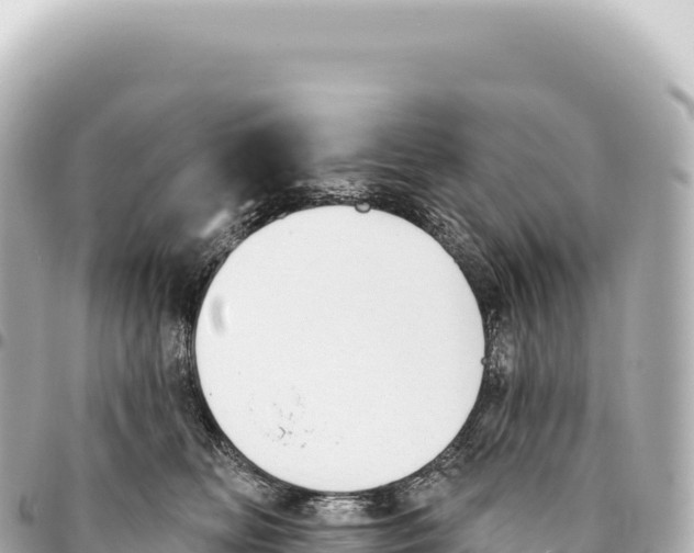 X0000093360518200711081517