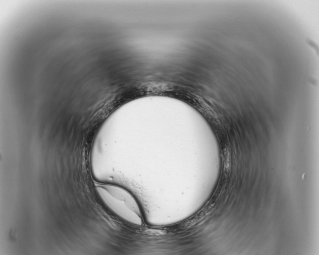 X0000093360519200711081517