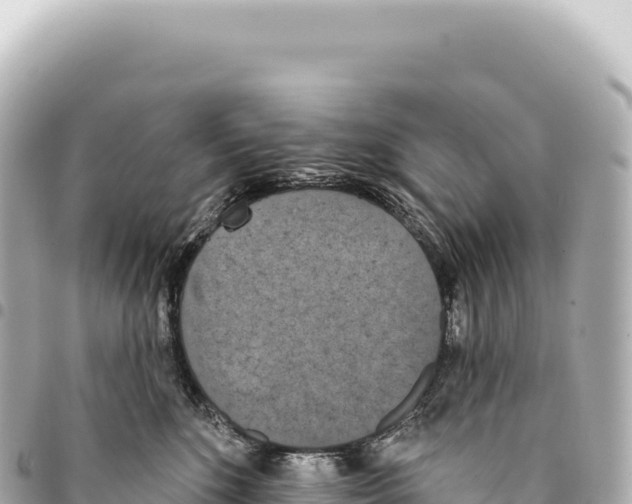 X0000093360520200711081517