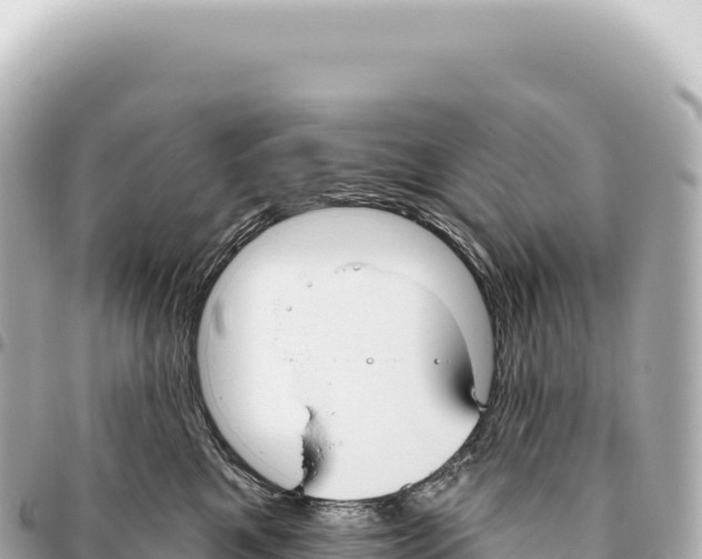 X0000093360521200711081517