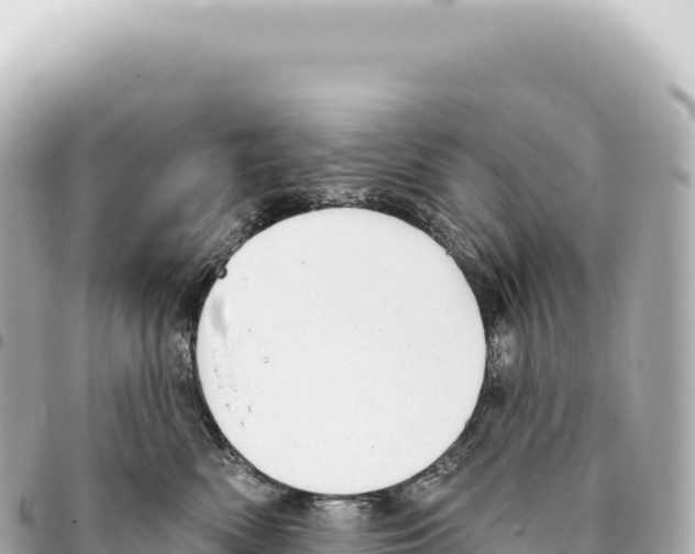 X0000093360522200711081517