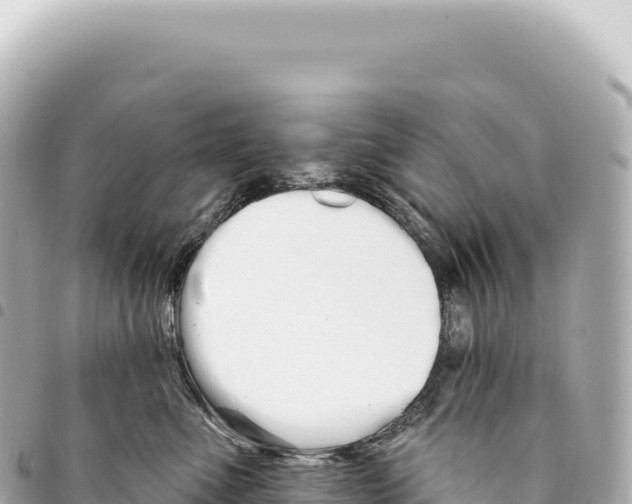 X0000093360523200711081517