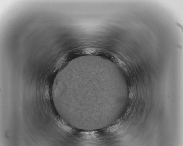 X0000093360524200711081517