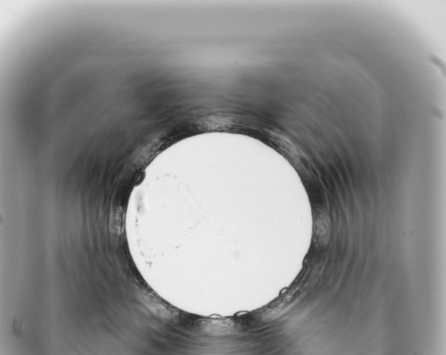 X0000093360525200711081517