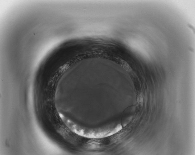X0000093360526200711081517