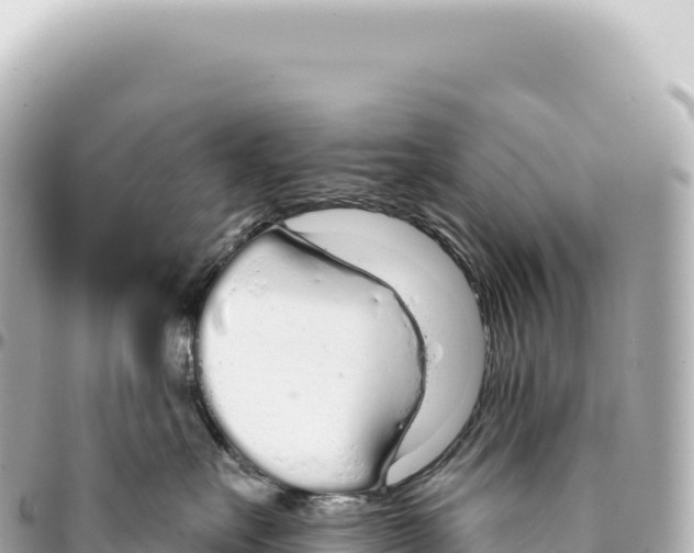 X0000093360527200711081517