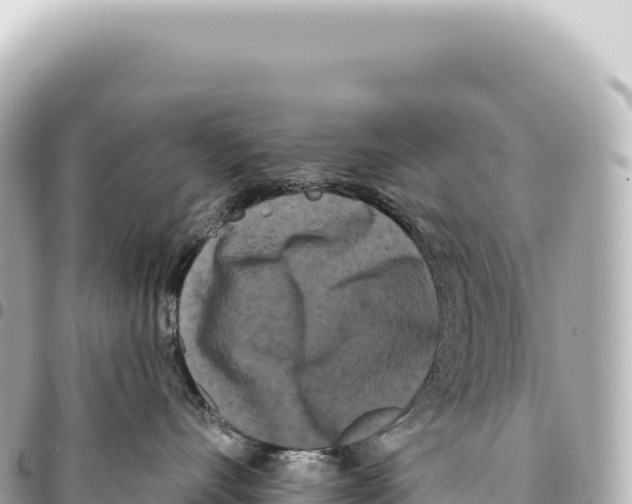X0000093360528200711081517