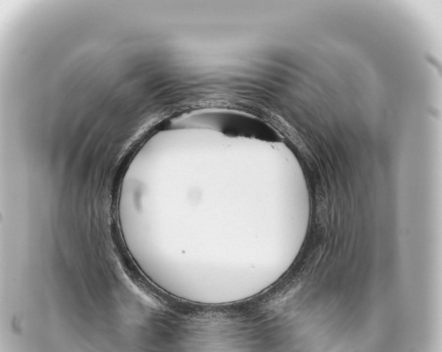X0000093360530200711081516