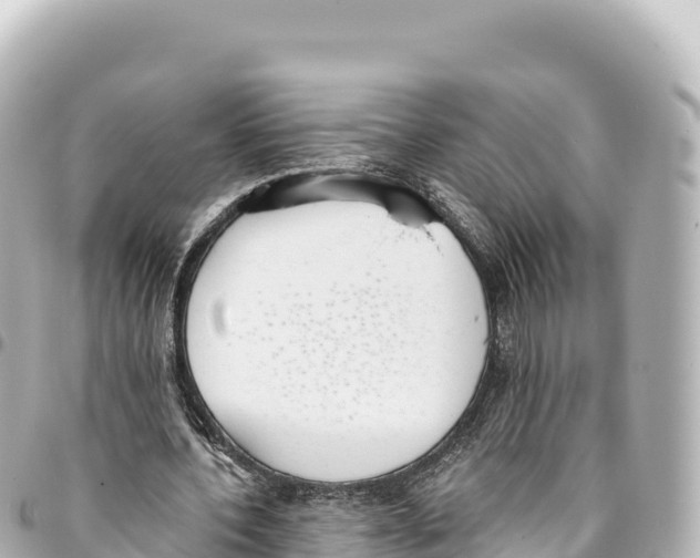 X0000093360532200711081517