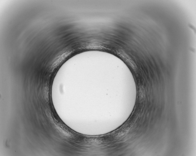 X0000093360533200711081517