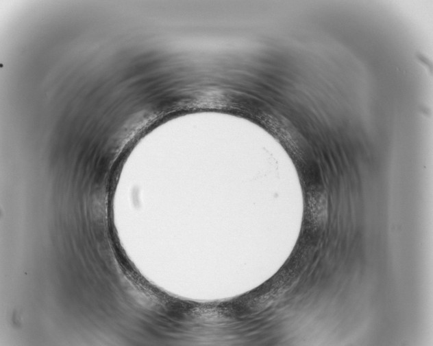 X0000093360534200711081517