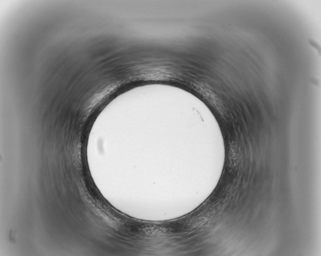 X0000093360535200711081517