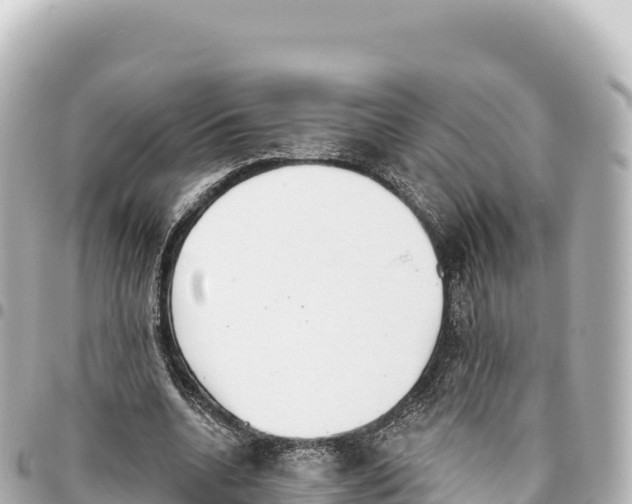 X0000093360536200711081517