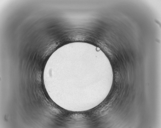 X0000093360537200711081517