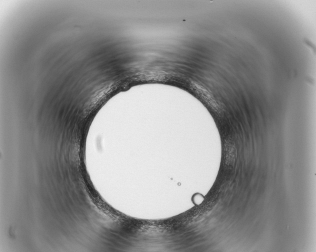 X0000093360538200711081517