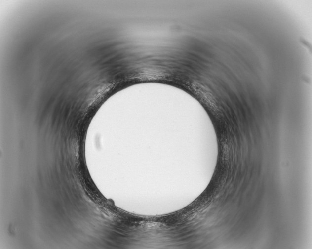 X0000093360539200711081517