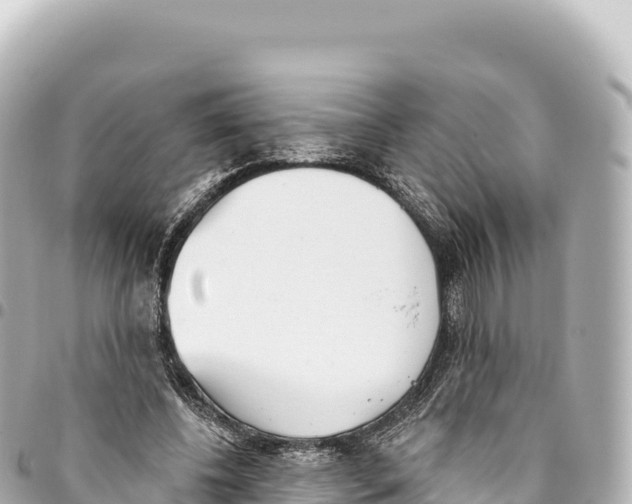 X0000093360540200711081517