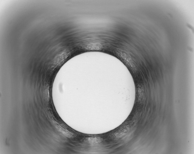 X0000093360541200711081517