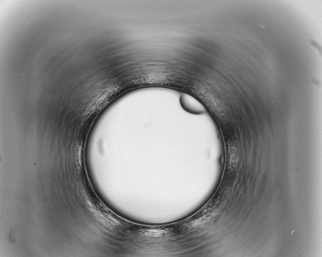 X0000093360542200711081517