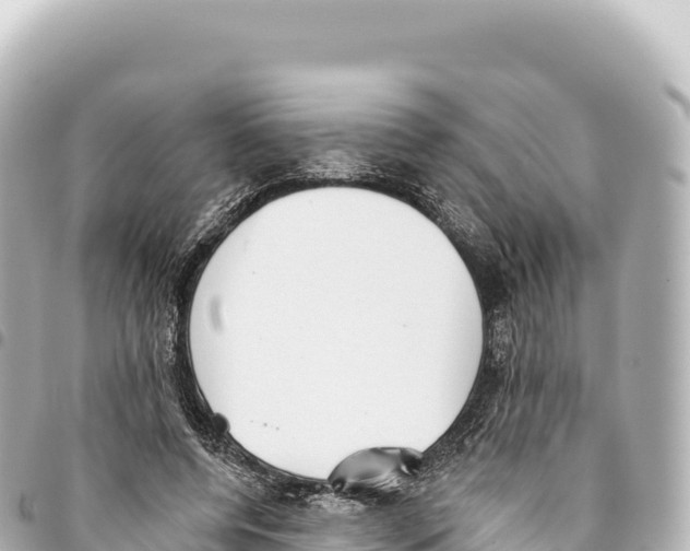 X0000093360544200711081517