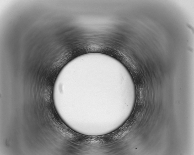 X0000093360545200711081517