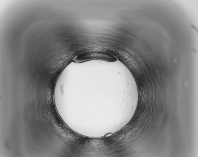 X0000093360546200711081517