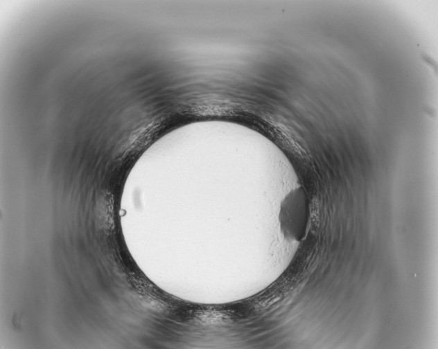 X0000093360547200711081517