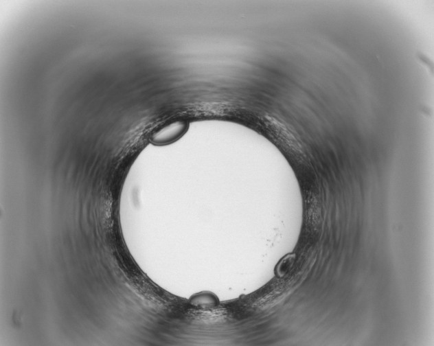 X0000093360548200711081517