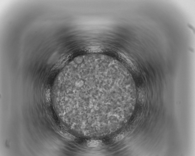 X0000093360549200711081517