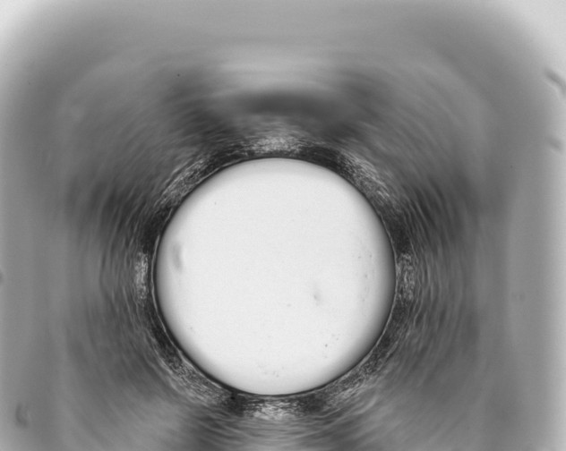 X0000093360550200711081517