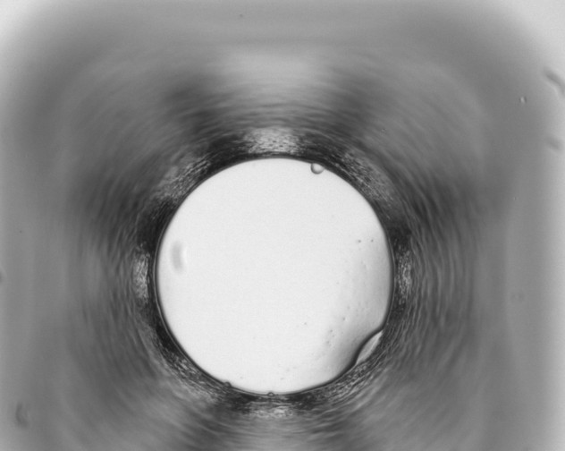 X0000093360551200711081517