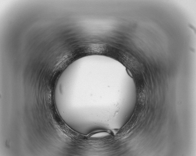X0000093360552200711081517
