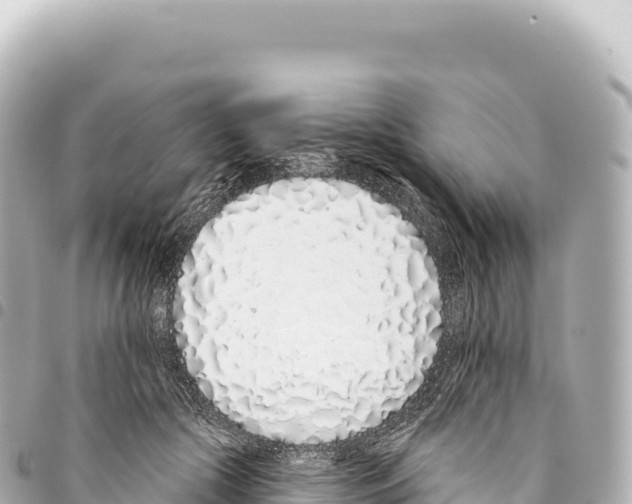 X0000093360553200711081517