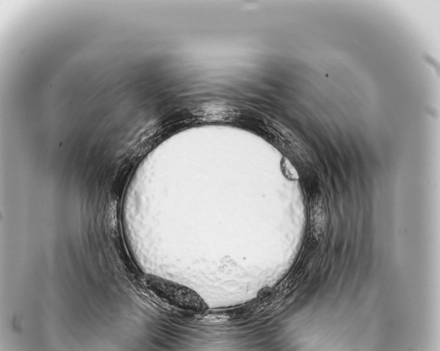 X0000093360554200711081517