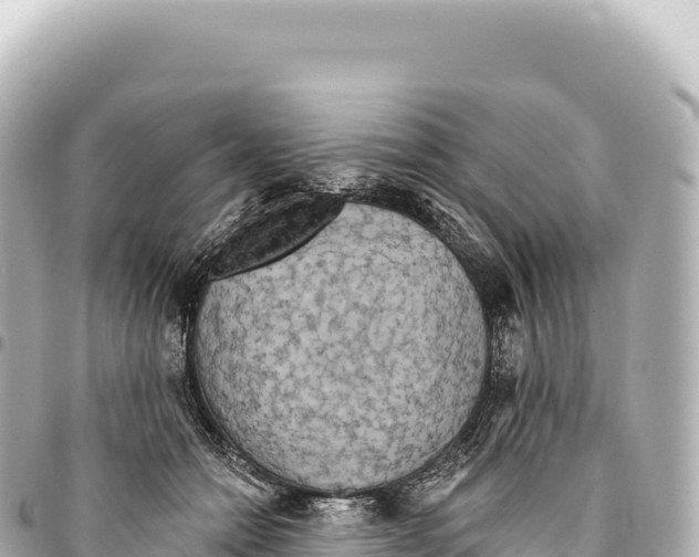 X0000093360558200711081517