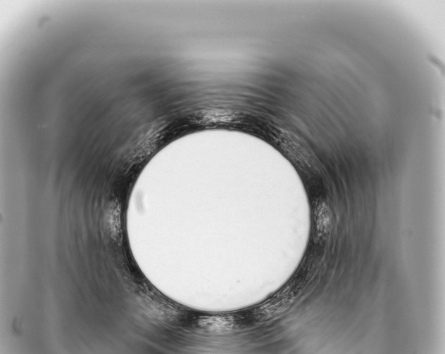 X0000093360559200711081517