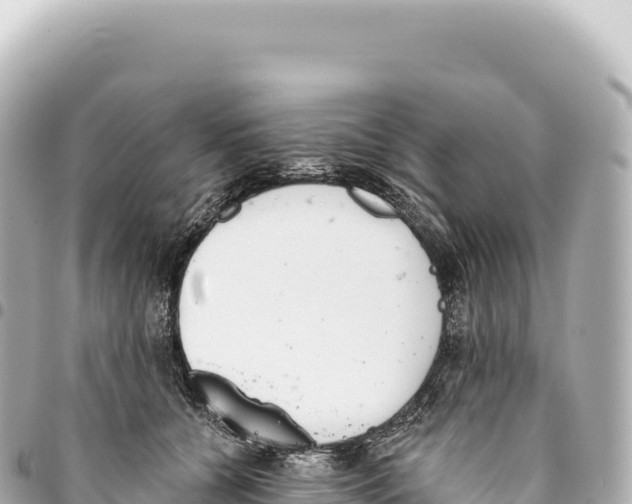 X0000093360560200711081517